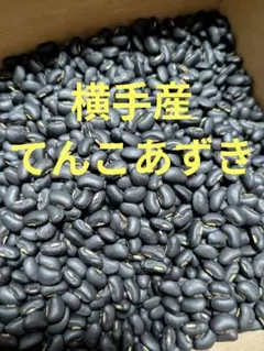 2025年最新】てんこ小豆の人気アイテム - メルカリ