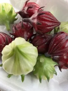 ちゃーハン様 リクエスト 4点 まとめ商品