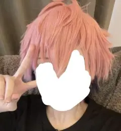 にじさんじ 赤城ウェン ウィッグ セット済 - メルカリ