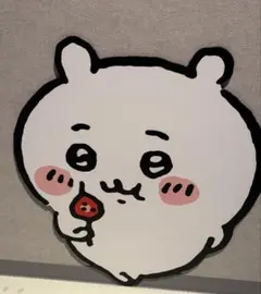 ちゃー☆様　専用