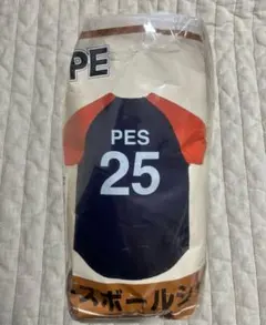 Item thumbnail for item e0430348-ac91-42a7-8575-bbf8bf998020