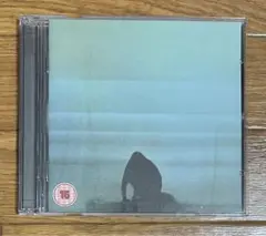 DVD付き　What Went Down　FOALS　フォールズ
