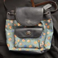 Item thumbnail for item e76b0fbe-ef4f-46fe-a567-00a879f7f783