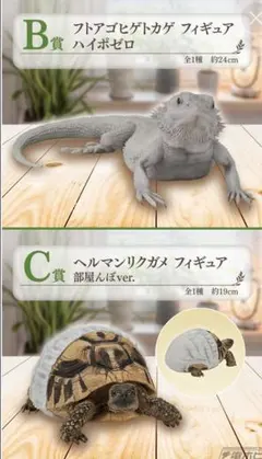 2025年最新】爬虫類くじの人気アイテム - メルカリ