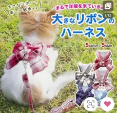 Item thumbnail for item 7d1b76de-a562-48ba-9514-07a3f7078354