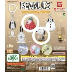 PEANUTS めじるしアクセサリー FUNNY ver. スヌーピーC、D