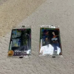 ドラゴンボールウエハースカード2枚セット