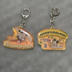 東京ディズニーリゾート アクリルキーホルダー