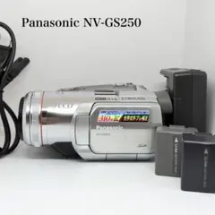 Panasonic NV-GS250-S ビデオカメラ【完品、美品】 Amazon.co.jp: Panasonic NV-GS250-S デジタルビデオカメラ 3CCD