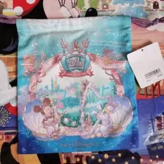 新作 ディズニーシー 24周年 巾着
