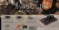 【オンライン版】いきもの大図鑑　かぶとむし１０　ゴホンヅノカブト（改）単品