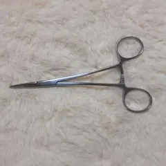 Item thumbnail for item c5070e32-7071-401a-9194-5eab1d89afde