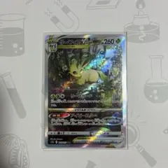 2026年最新】リーフィアvstar sarの人気アイテム - メルカリ