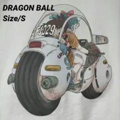 Item thumbnail for item f5c88a02-54d3-412b-94df-d13ed7f36ec3