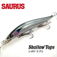 2026年最新】ザウルス ミノーの人気アイテム - メルカリ