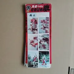 変身忍者嵐 十円引きブロマイド24枚未開封