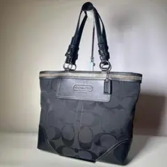 ✨良品✨COACH コーチ トートバッグ シグネチャー 10445
