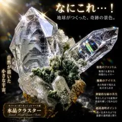Collection】K2 シガール ファントム・アイリス・クローライト共生