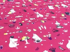河東梨香（Rika Kawato)KOKKAピクニックꕤ︎︎ 北欧風ꕤ︎︎fruitꕤ︎︎