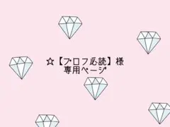☆【プロフ必読】様 専用ページ