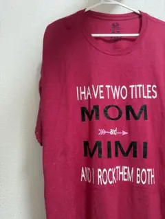 アメリカ古着　ビックサイズ　半袖Tシャツ　フルーツオブザルーム