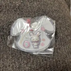 サンリオ　パッケージチャーム　ウィッシュミーメル