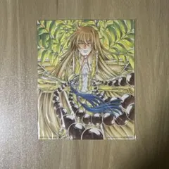 聖闘士星矢 LC 冥王神話外伝14 アニメガ特典カード 非売品 手代木史織 聖闘士星矢 LC 冥王神話外伝14 アニメガ特典カード 非売品 手代木史織