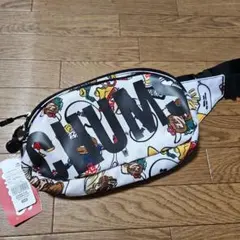 CHUMS Recycle Waist Bag BBQ Spice