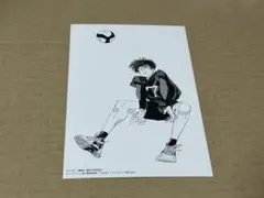 希少・匿名発送】ディグイット 1巻特典 こみらの！ イラストカード