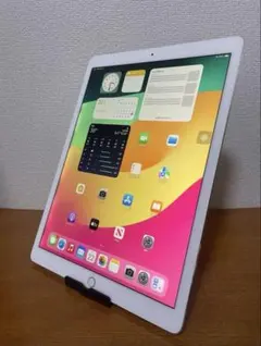 iPad Pro 12.9 (第2世代) 64GB SIM フリー