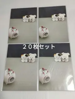 昭和レトロ うちのタマ知りませんか 暑中ハガキ　ポストカード２０枚セットのサムネイル