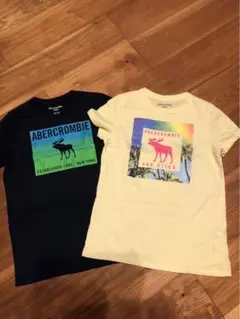 Item thumbnail for item 8040941f-30d9-44a0-a8e5-a8c660fcabc2