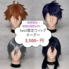 twst ツイステ コスプレ ウィッグ オーダー Dハロ 納期最速10日以内