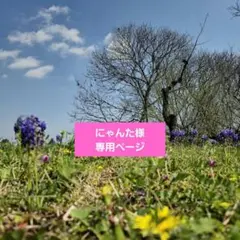 にゃんた様専用ページです