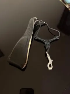 Item thumbnail for item 012b8d23-ebbe-4daf-8a13-92650fc20e29