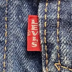 70505 ビッグE サイズ44 着丈短め 3rd big E 557 4th