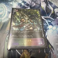 シャドウバースエボルヴ 対空射撃 PR-529 SL仕様 - メルカリ