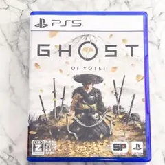 GHOST OF YŌTEI PS5 ゴーストオブヨーテイ✨美品✨アクション