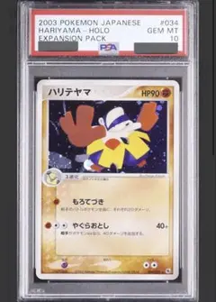 希少 アンリミ【PSA9】ライコウ ホロ 2002 裂けた大地 カードe - メルカリ