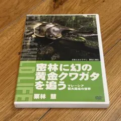 Item thumbnail for item c1535c9c-6254-4de6-8daa-222baef0fc14