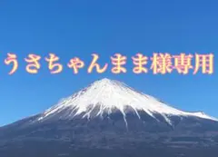 うさちゃんまま様専用 お野菜セット100サイズ