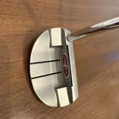 Item thumbnail for item 492e93c7-5cb2-4d84-8997-8440e620d55a