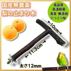 Item thumbnail for item 8c754f73-7990-4cb1-8fcf-f82e97b825a1