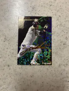 TERIYAKIさん専用