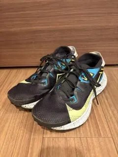 NIKE ペガサストレイル2 25.0cm レディース　トレランシューズ