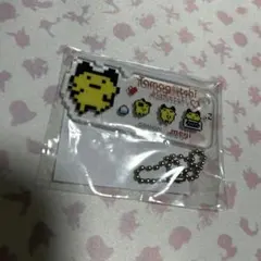 六　新品　たまごっち　⑪　明治　コラボ　アクリルキーホルダー　まめっち　かわいいのサムネイル