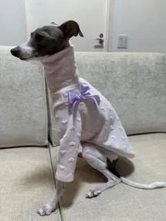 イタグレ服 Sサイズ ハート服