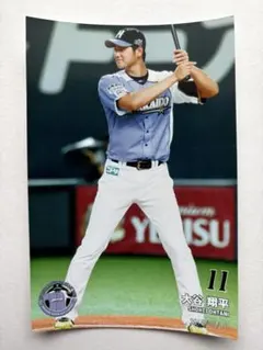 北海道日本ハムファイターズ バッター 大谷翔平 ハイライトフォト 球団公式 写真