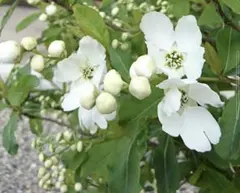 yako様 リクエスト 2点 まとめ商品