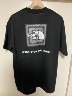 THE NORTH FACE バンダナスクエアロゴ TシャツLsize ブラック